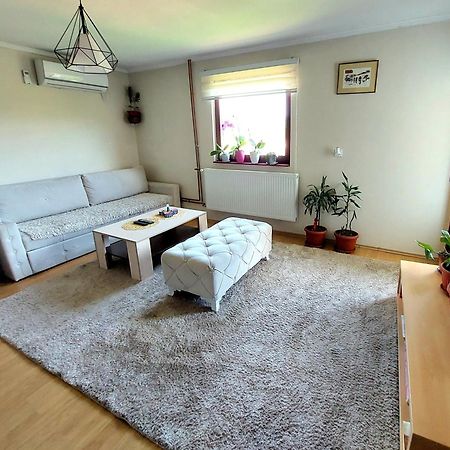 Guesthouse Jelena Višegrad Kültér fotó